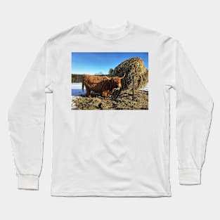 Scottish Highland Cattle Cow 2311 Long Sleeve T-Shirt